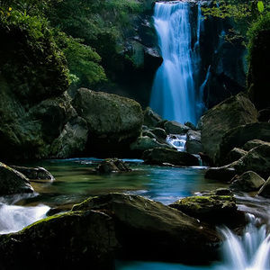 Meet your Posher, Pamela